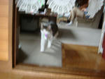 20080623c.jpg