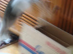 20080624g.jpg