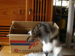 20080624h.jpg