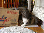 20080624i.jpg