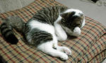 20080625a.jpg