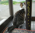 20080627c.jpg