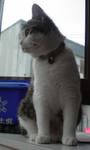 20080630b.jpg