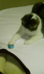 20080630c.jpg