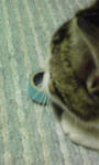 20080630d.jpg