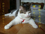 20080702a.jpg