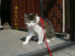 20080702c.jpg