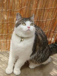 20080703c.jpg