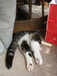 20080703d.jpg