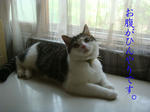 20080708c.jpg