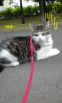 20080710c.jpg