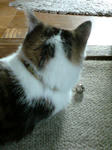 20080715a.jpg