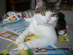 20070721b.jpg