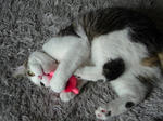 20080725b.jpg