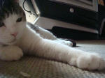 20080805b.jpg