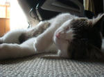 20080812e.jpg