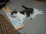 20090106matatabi3.jpg