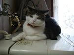 20090106sentakuki4.jpg