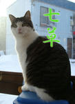 20090107a.jpg