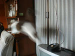 20090108furi3.jpg
