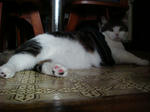 20090114b.jpg