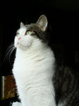 20090114c.jpg