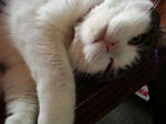 20090115b.jpg