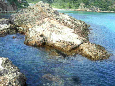e22e9945.jpg