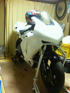 7231800d.jpg