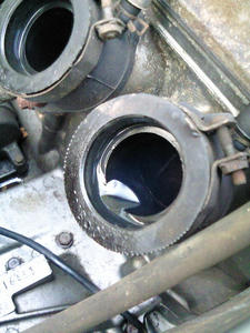 NEC_0094.JPG