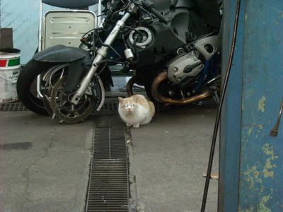 DSCN0174.JPG