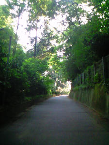 NEC_0191.JPG