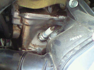 NEC_0331.jpg