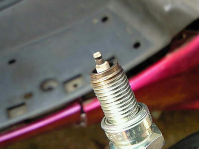 NEC_0332.jpg