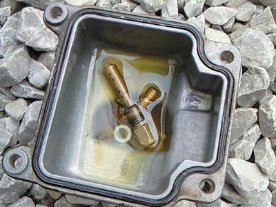 NEC_0338.jpg