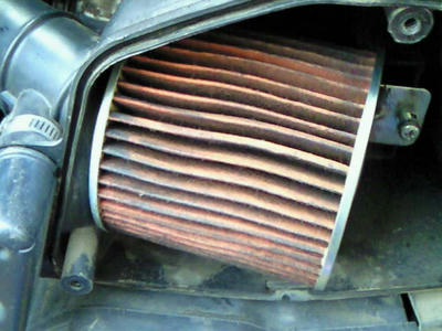 NEC_0339.jpg