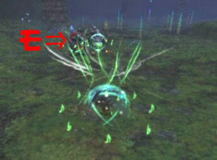 pinbara2.jpg