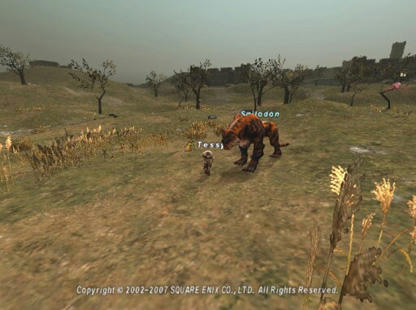 Tes071122155745a.jpg