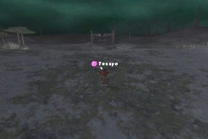 Tes080406163218a.jpg