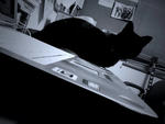 photo01.jpg