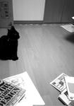koge090306_01.jpg