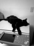 koge090423.jpg