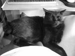 koge090516.jpg