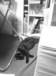 koge090520_.jpg