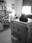 koge090522_.jpg