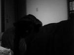 koge090604_06_.jpg
