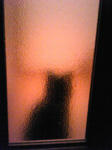 koge090612.jpg