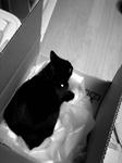 koge090619_01.jpg