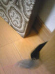 koge090713_01.jpg