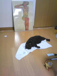 koge090725_02.jpg